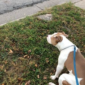 Meet your Posher, Ricky